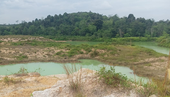 Foto: Lubang galian tambang batubara diduga bekas aktivitas PT AMI. (Istimewa)