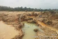 Kondisi lokasi Penambangan Emas Tanpa Izin (PETI) di kawasan Afdeling III, lahan Koperasi Tanjung Bungo, Kecamatan Tebo Ilir, Kabupaten Tebo. Terlihat aktivitas tambang ilegal yang merusak lahan dan lingkungan sekitar.