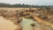 Kondisi lokasi Penambangan Emas Tanpa Izin (PETI) di kawasan Afdeling III, lahan Koperasi Tanjung Bungo, Kecamatan Tebo Ilir, Kabupaten Tebo. Terlihat aktivitas tambang ilegal yang merusak lahan dan lingkungan sekitar.