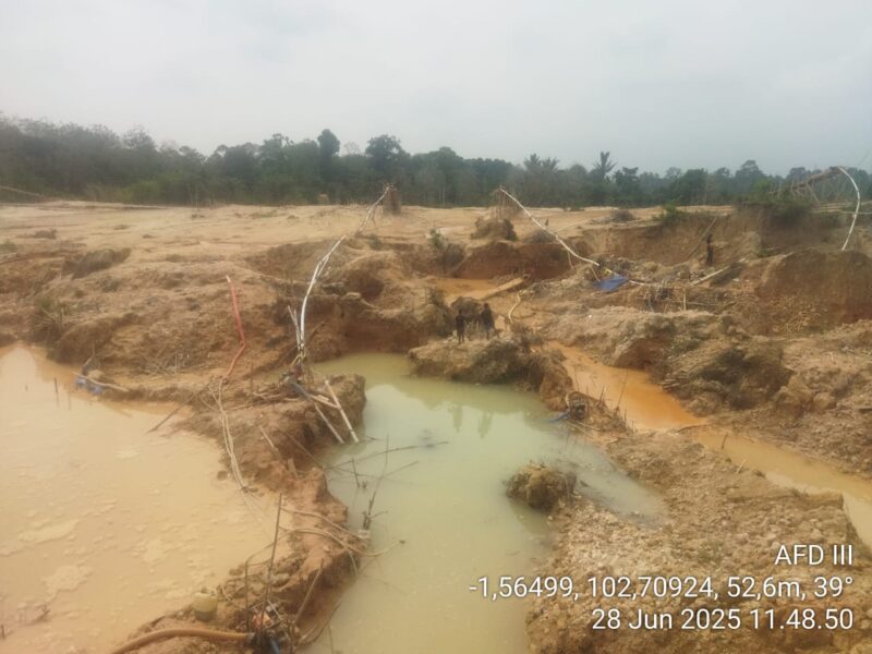 Kondisi lokasi Penambangan Emas Tanpa Izin (PETI) di kawasan Afdeling III, lahan Koperasi Tanjung Bungo, Kecamatan Tebo Ilir, Kabupaten Tebo. Terlihat aktivitas tambang ilegal yang merusak lahan dan lingkungan sekitar.